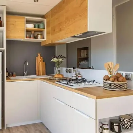 Mobil-home Spacieux Avec Terrasse - - Api-1-52-1453 Camping *
